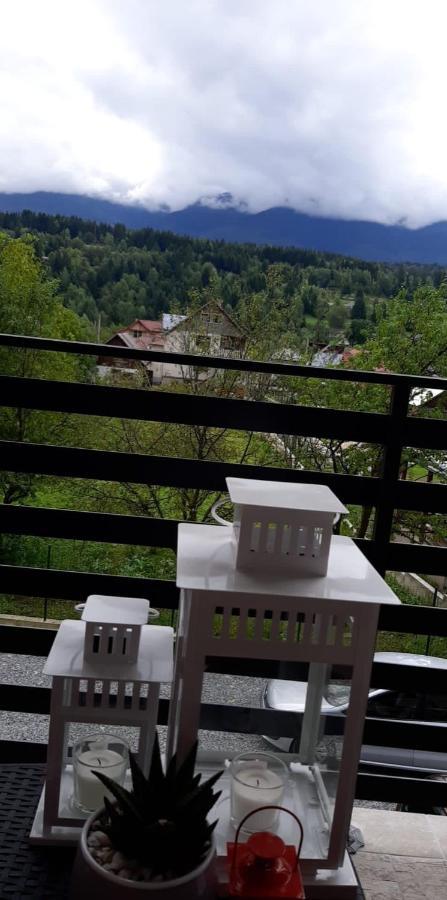 Villa Maya Borşa Exterior foto